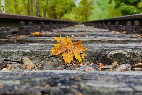 Herbst im Gleisbett