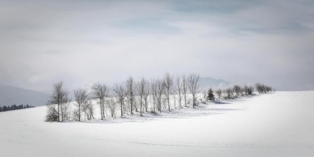 52 Fotografieren sie ein Winterbild_Ingrid_ Hofbauer