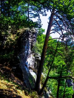 Natur-Sächsische Schweiz