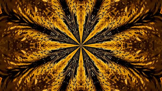 Fire Star