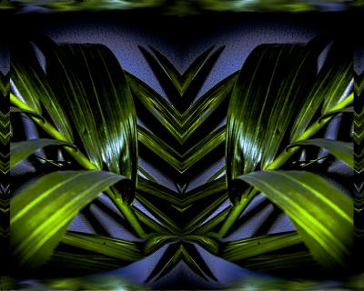 Pflanze-Spiegelung Digital-art (G.C.)