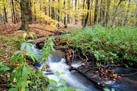 Wasserlauf