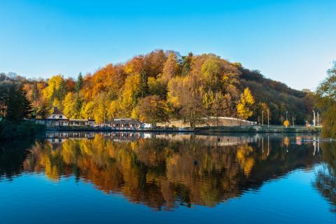 Herbst am See