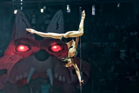 ... die Schöne und der Fuchs ...