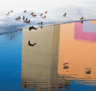 02 Spiegelung im Wasser_Daniela Schneider