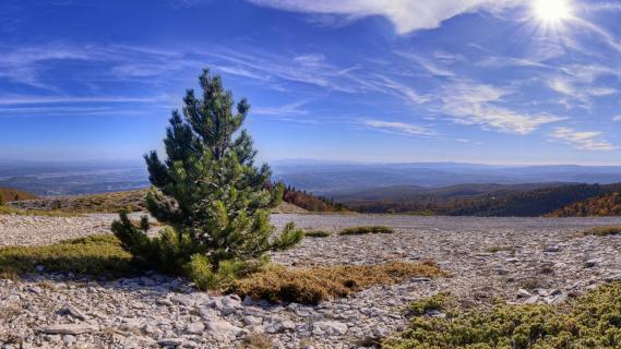 Signal de Lure Panorama