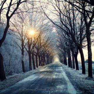 Winter in Ostfriesland