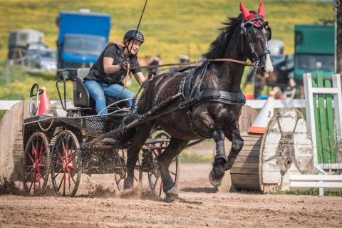 Fahrturnier Buchenhof 2018