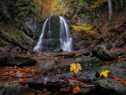 Herbst im Bergwald
