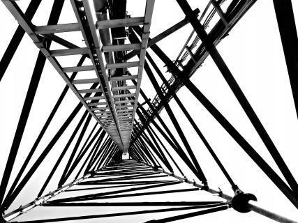 31_Aus der Sicht des Frosches_pit.rank_43010