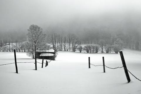 52_Fotografieren Sie ein Winterbild_pit.rank_43010