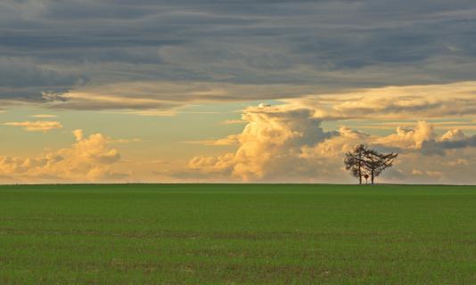 Land und Licht