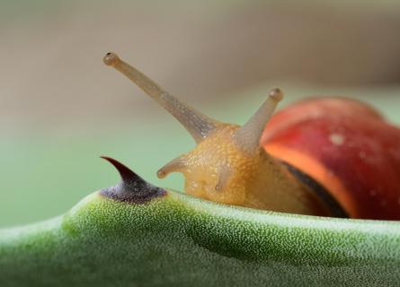 Das kann ins Auge gehen