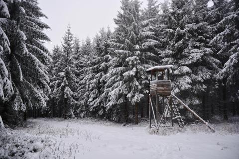 Hochsitz im Winterwald