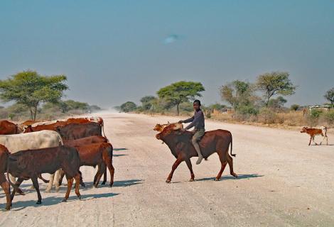 Namibia-Cowboy