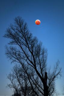 blutmond