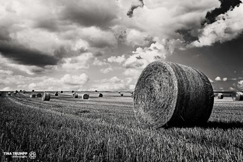 Am Ende des Sommers