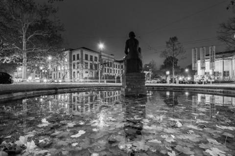 Reflections