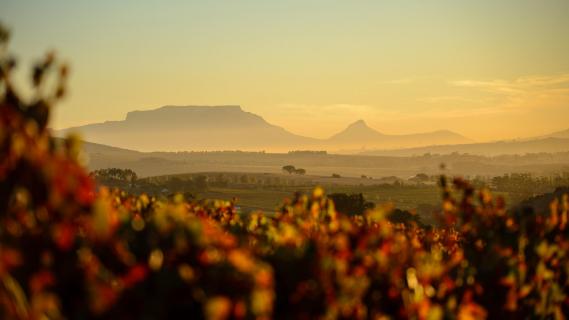 View to Table Mountain