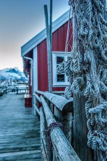 Close up Lofoten