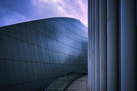 blue hour and bird