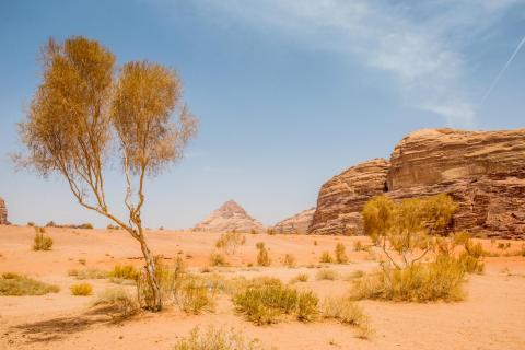 wadi rum