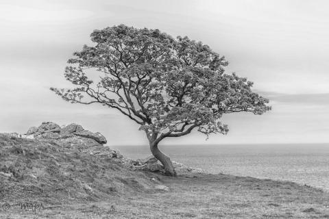 Murlough Bay