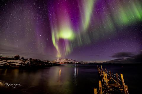 Polarlicht über Kvitnesvika