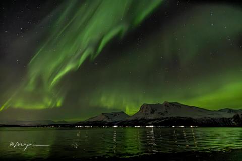 Polarlicht über Fjord und Bergen