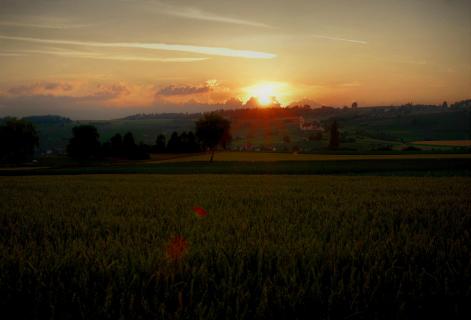 Abendstimmung im Klettgau