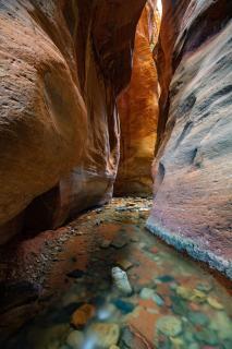 Kanarra Creek, Utah