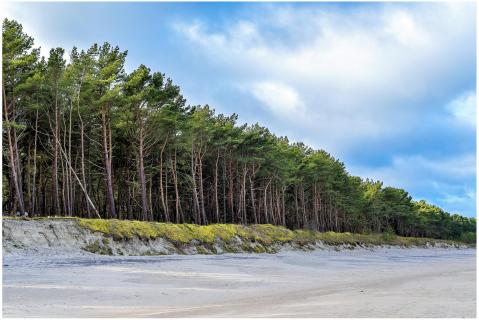 Am Ostseestrand