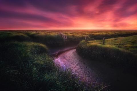 Westerhever sunset