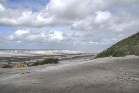 Juist