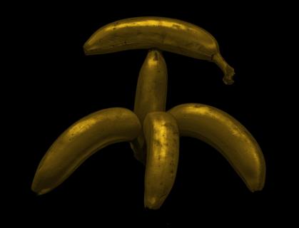 Bananen-Gold