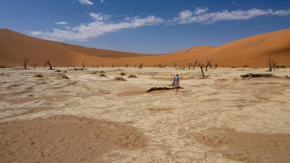 Deadvlei