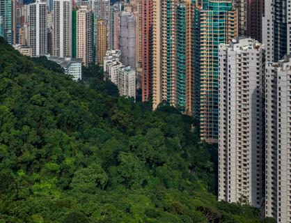 Hong Kong - Regenwald trifft City
