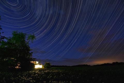 Startrails und Löwenzahn