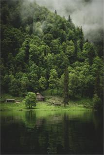 Hütte im Wald