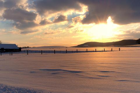 Norddeutsche Winterlandschaft