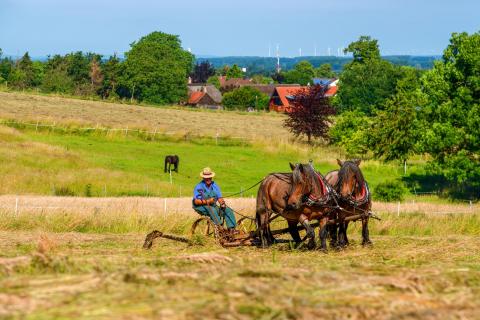 Idylle der alten Zeit