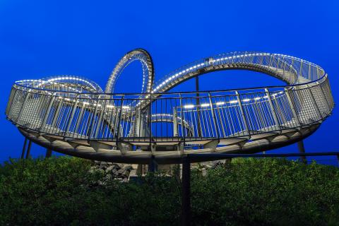 Tiger and Turtle blue