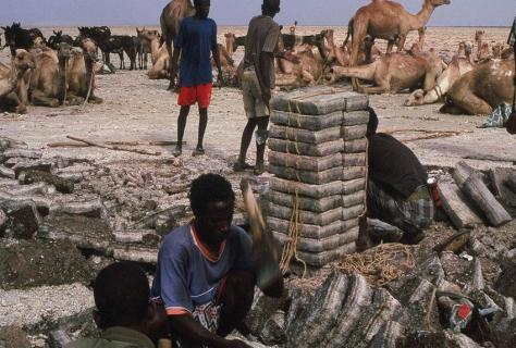 Salzarbeiter,Danakil, Äthiopien