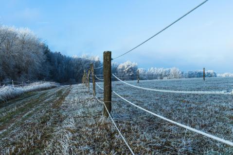 Eisweg