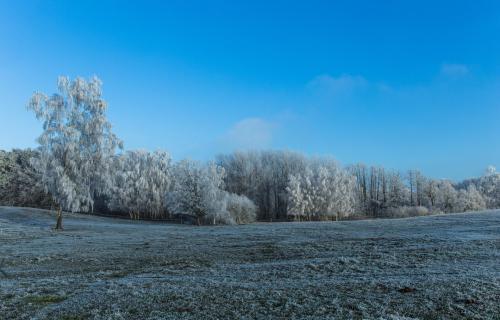 Winterlandschaft vor der Tür