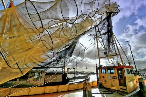 flying dutchman