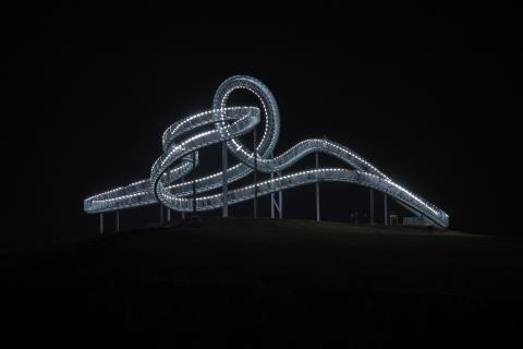 Tiger & Turtle (The Magic Mountain)