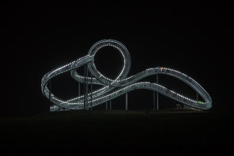 Tiger & Turtle