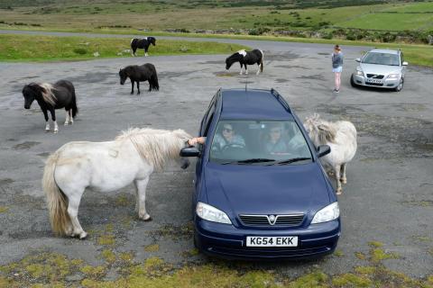 Dartmoor