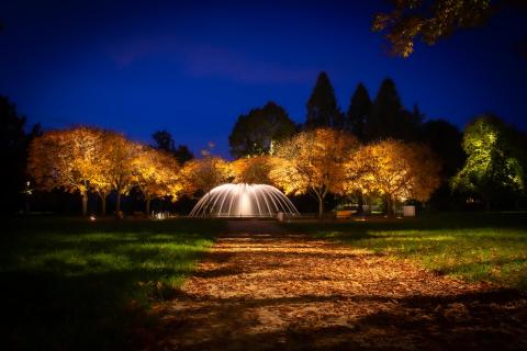 Illuminierter Brunnen im Herbstlaub